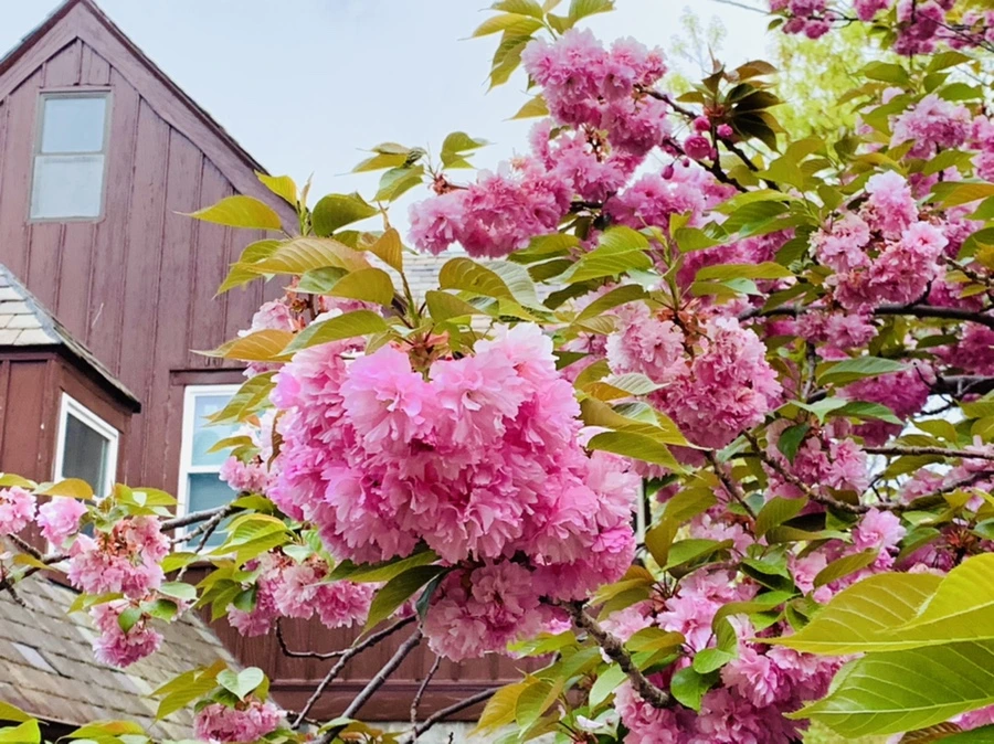 IMG_7158.jpg?type=w966