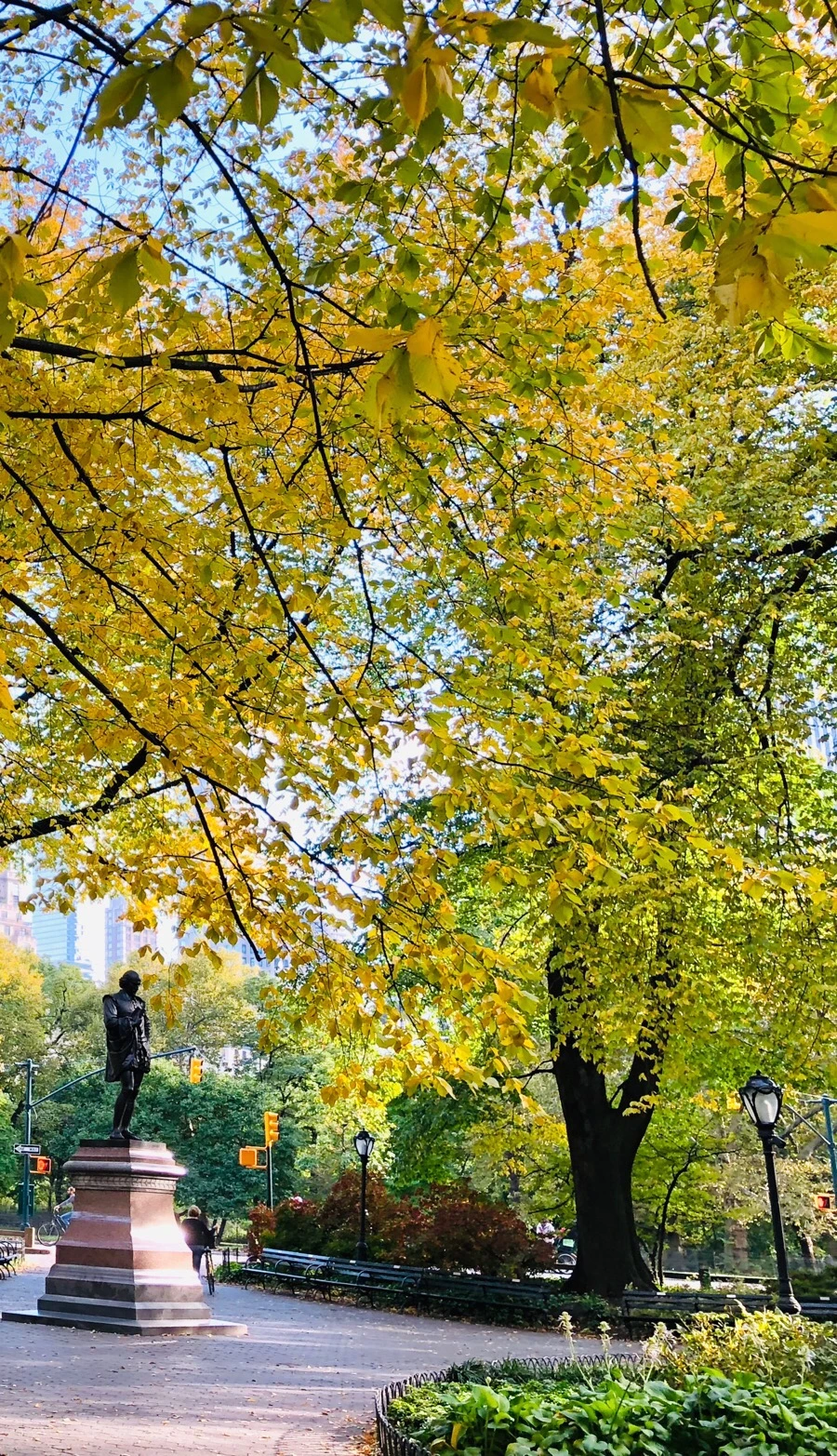 IMG_7195.jpg?type=w966