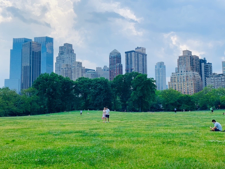 IMG_1652.jpg?type=w966