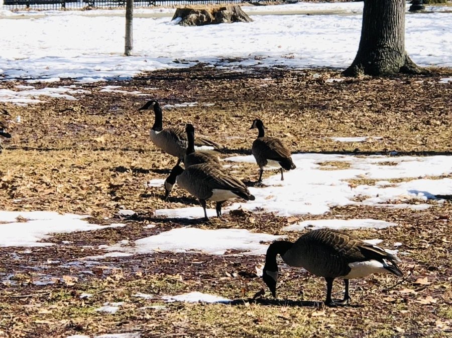 IMG_4677.jpg?type=w966