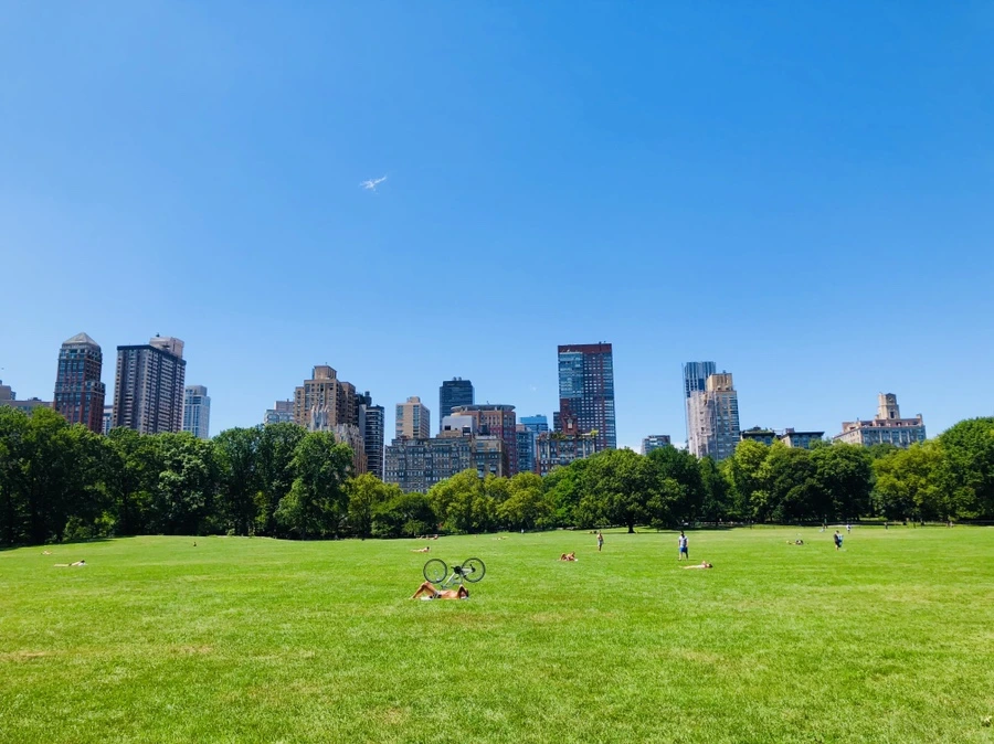 IMG_5713.jpg?type=w966