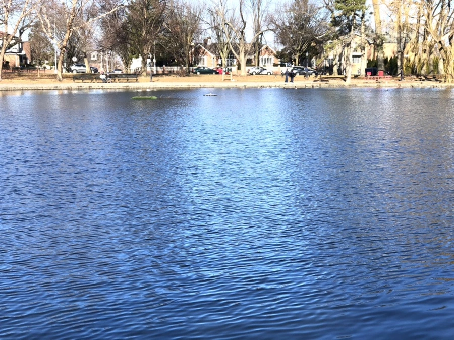 IMG_0300.jpg?type=w966