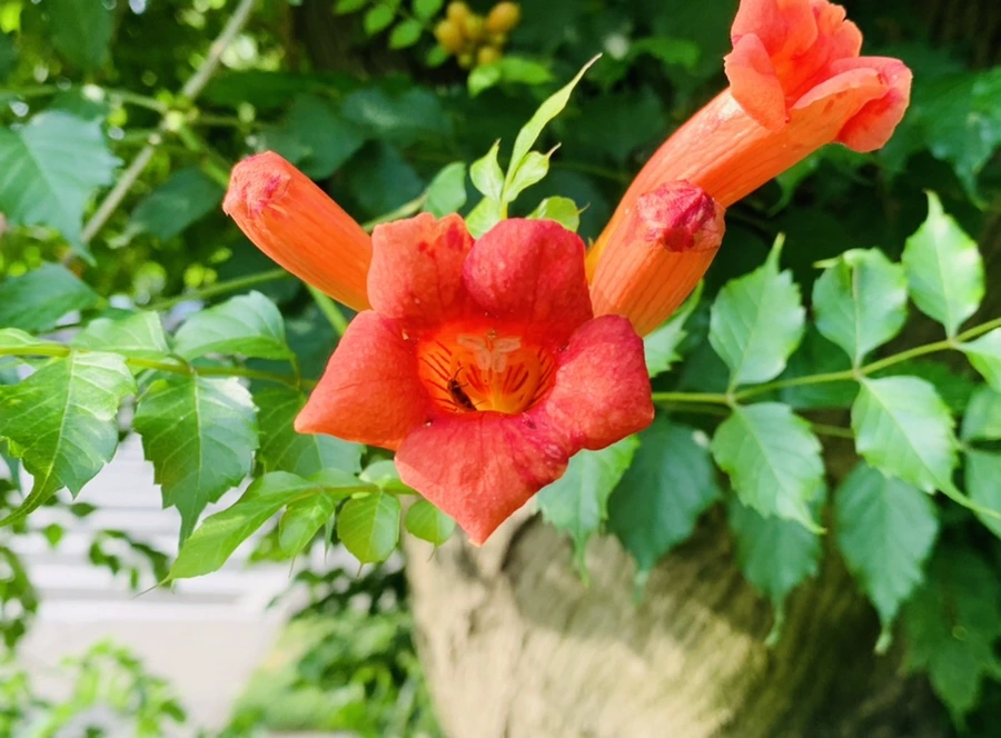 IMG_5722.jpg?type=w966