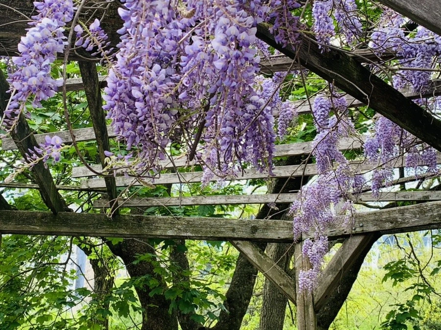 dlNtIqoavUFrQGHwZSHCJUu8SIM