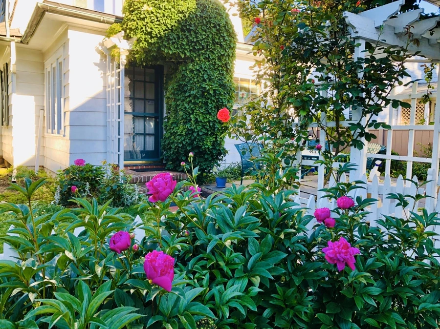 IMG_7698.jpg?type=w966