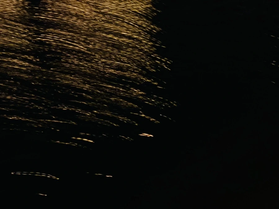 IMG_4616.jpg?type=w966