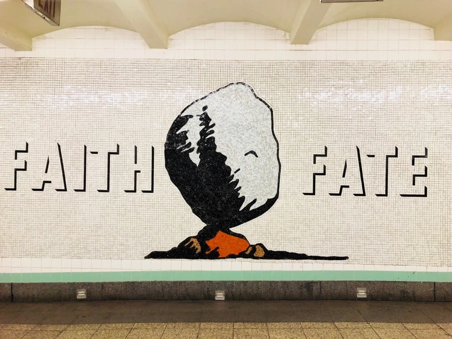 IMG_6314.jpg?type=w966