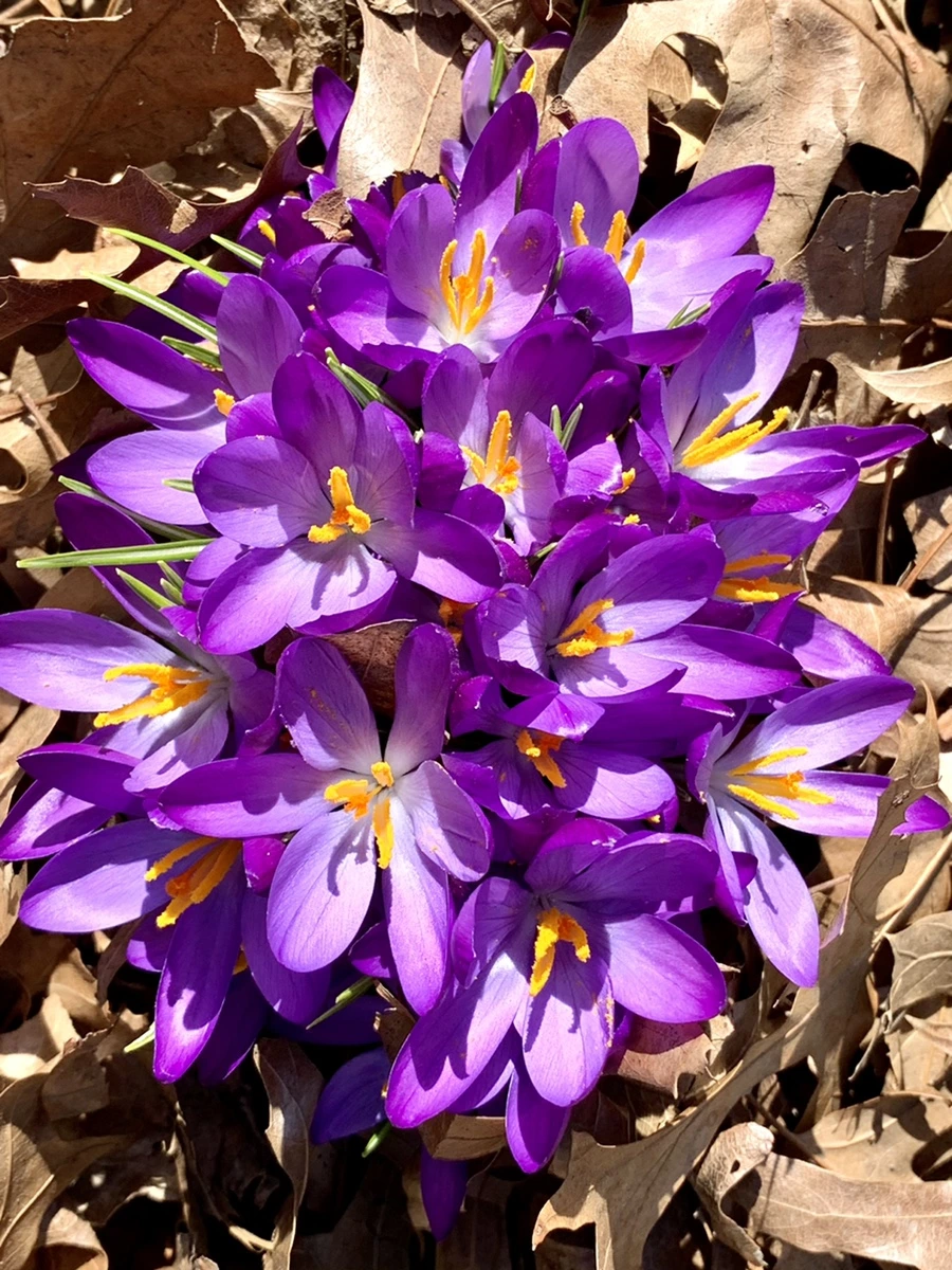 IMG_9683.jpg?type=w966