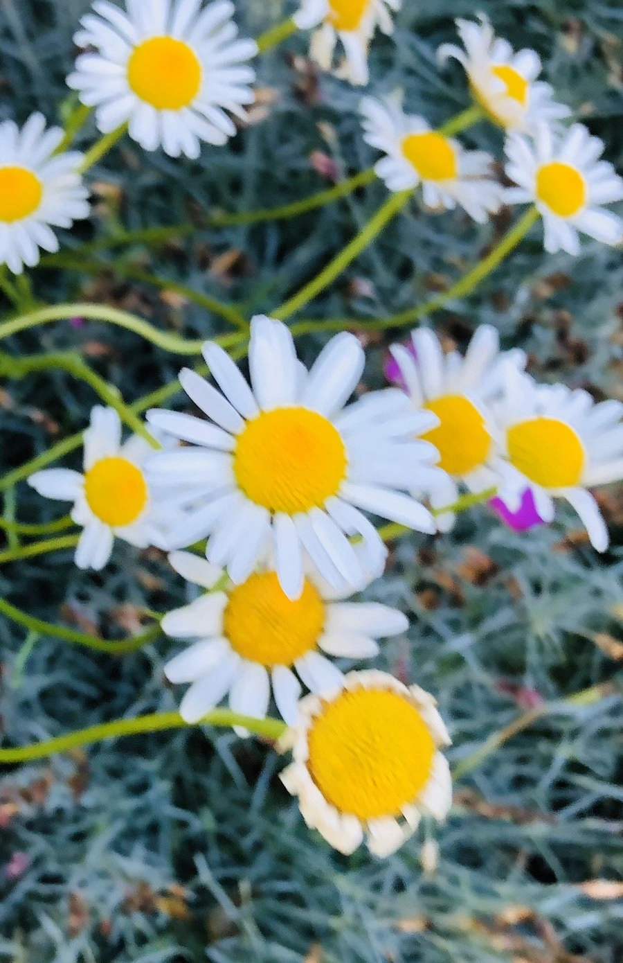 55WhqOF2CvJIUaLkZHrz7zkai6Y