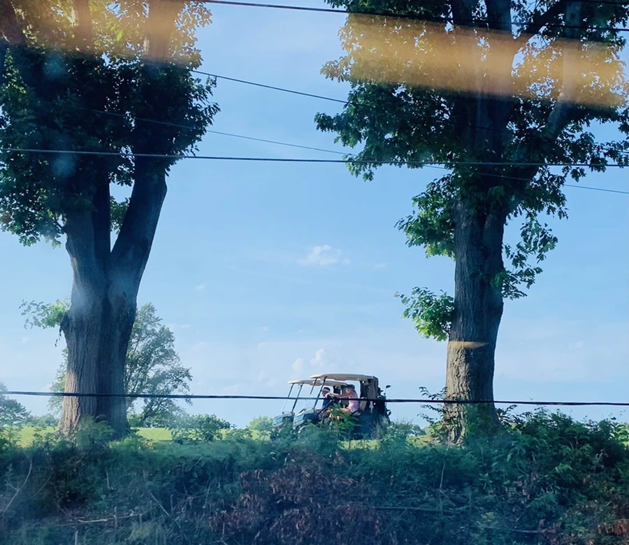 IMG_1256.jpg?type=w966