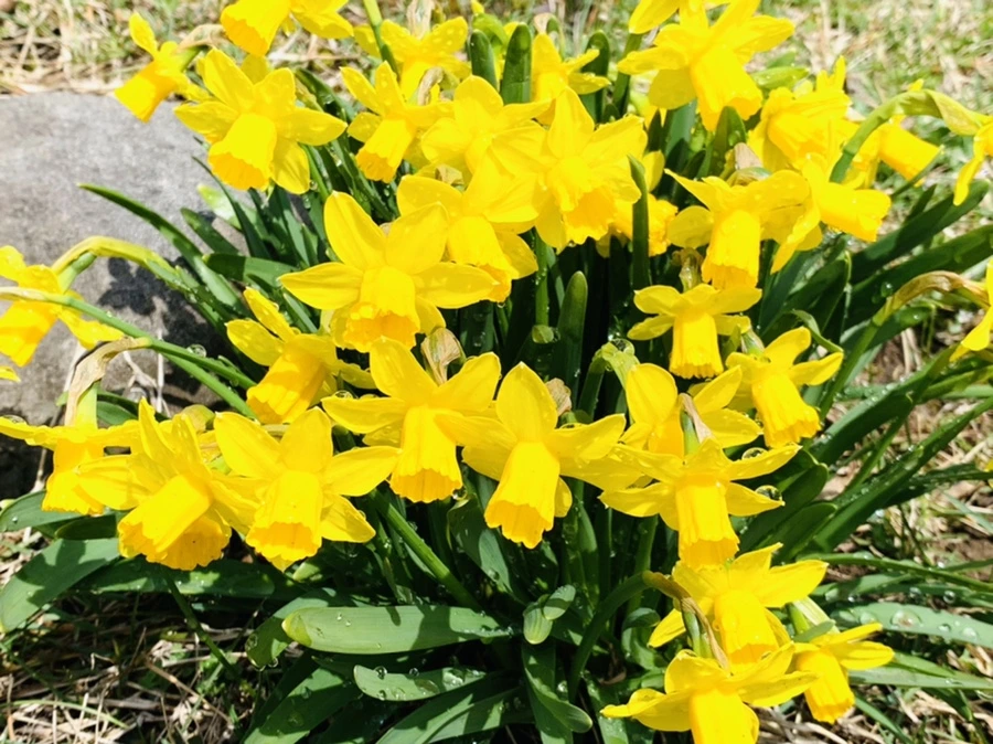 IMG_4015.jpg?type=w966