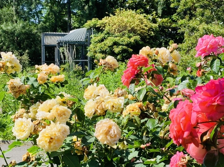 8BMtP1MyQX_xzS06cp7LuOx6Ag4