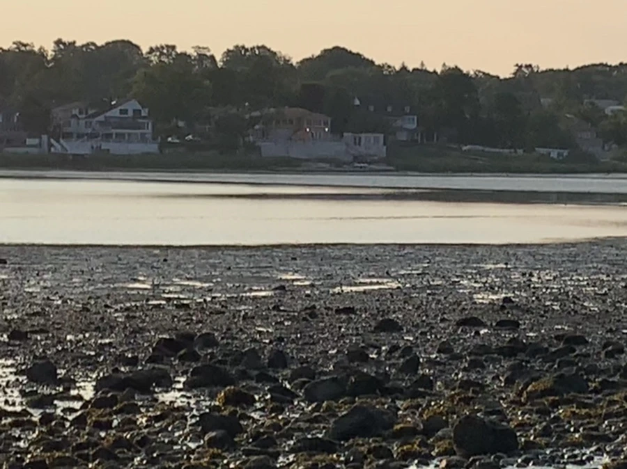 IMG_9774.jpg?type=w966