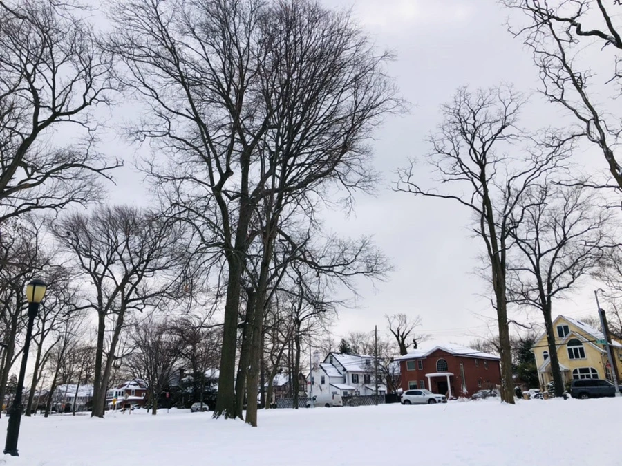 IMG_3887.jpg?type=w966