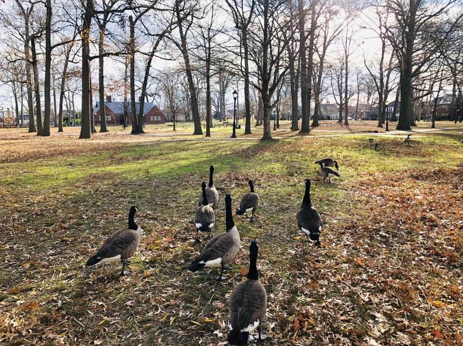 IMG_6006.jpg?type=w966