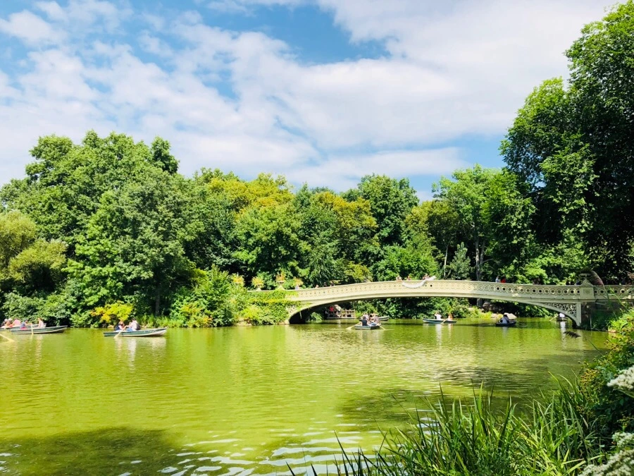 IMG_3734.jpg?type=w966