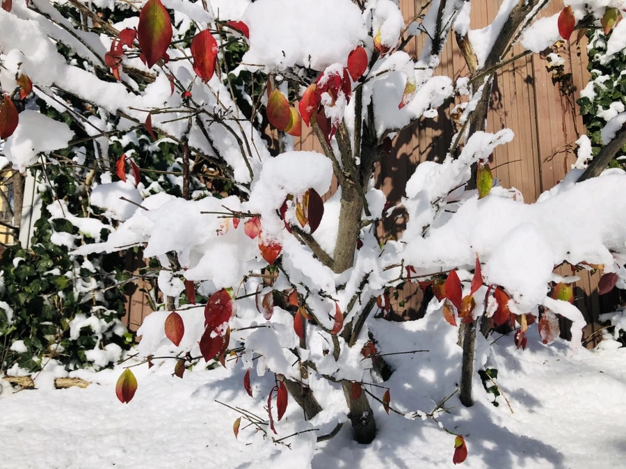 IMG_6974.jpg?type=w966