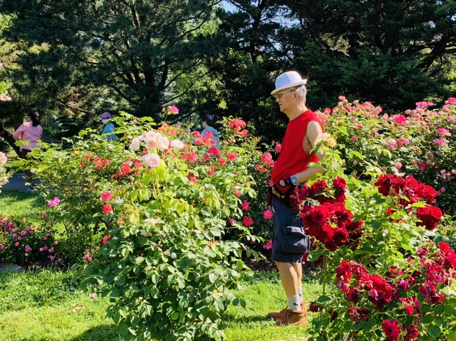 IMG_3079.jpg?type=w966