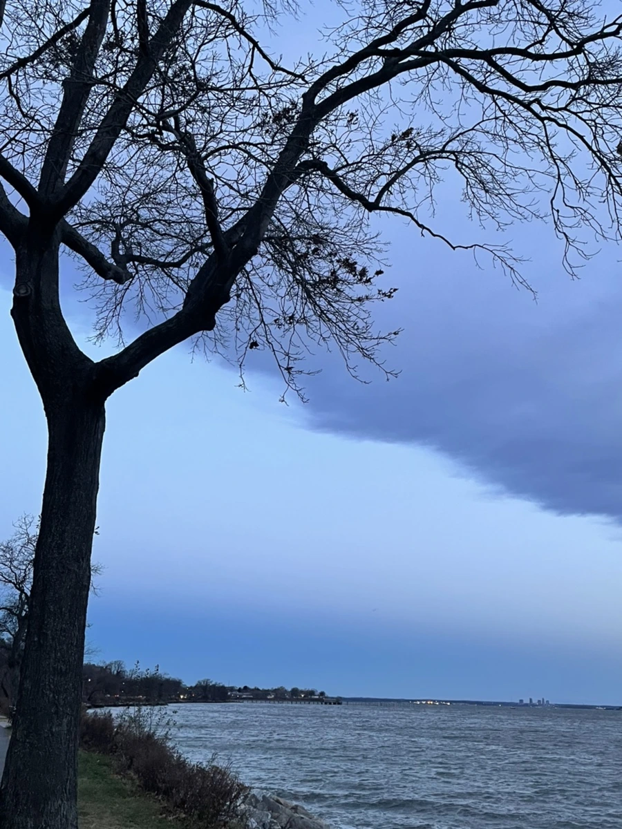 IMG_6550.jpg?type=w966