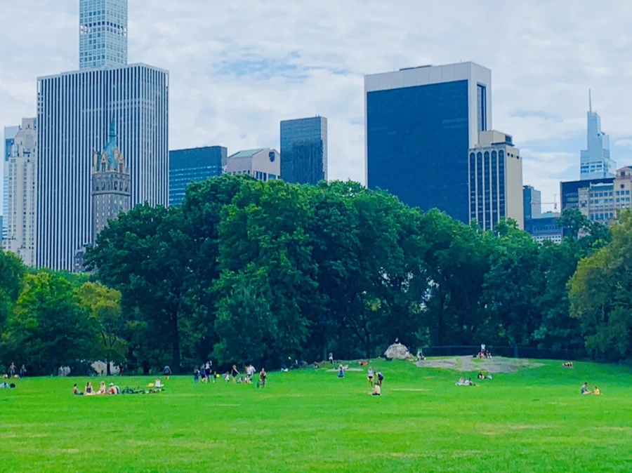 IMG_1572.jpg?type=w966