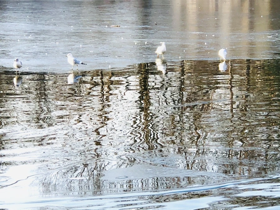 IMG_2679.jpg?type=w966