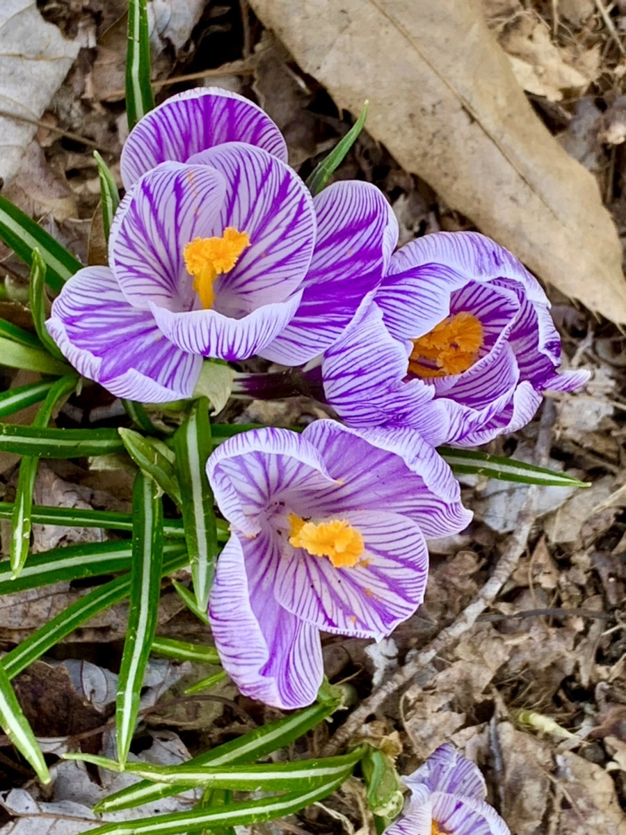 IMG_3285.jpg?type=w966