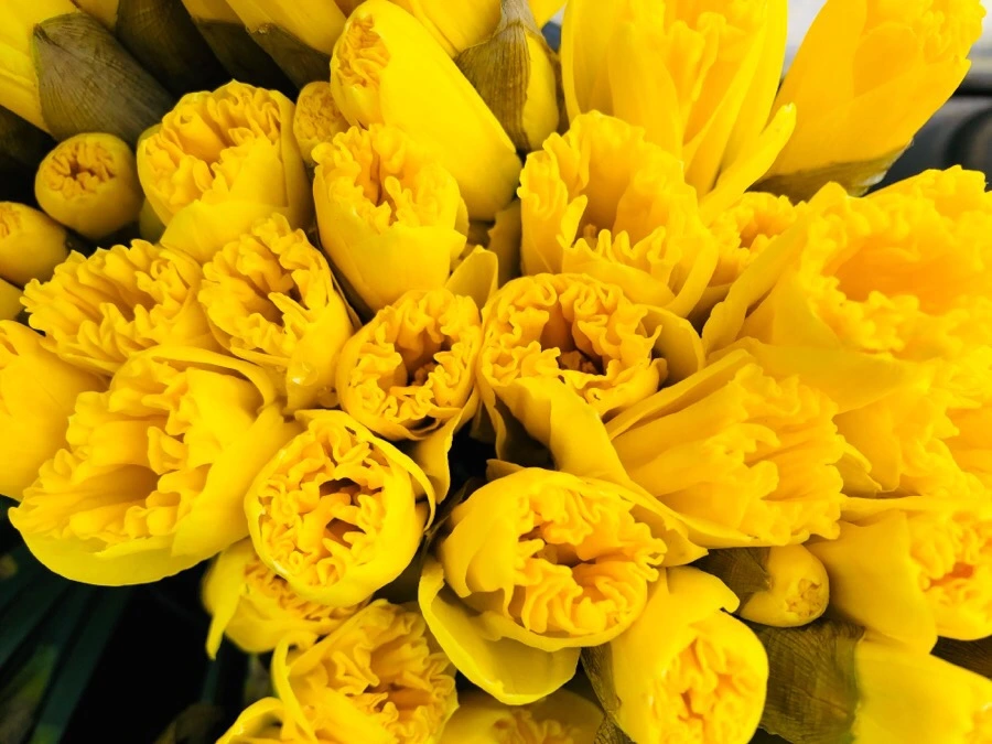 IMG_4088.jpg?type=w966