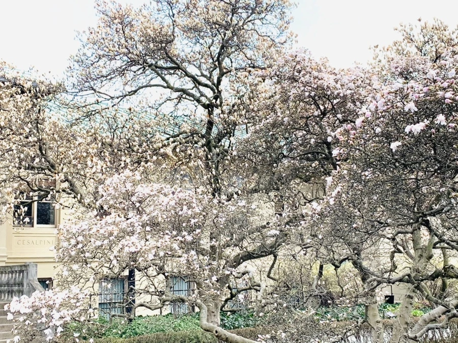 IMG_7177.jpg?type=w966