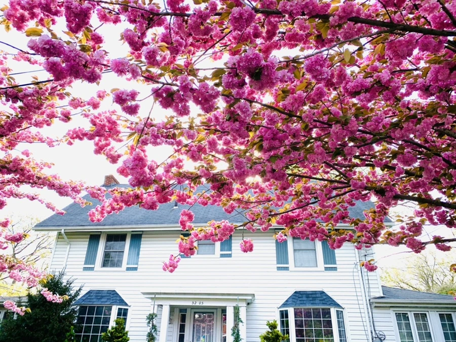 IMG_6787.jpg?type=w966