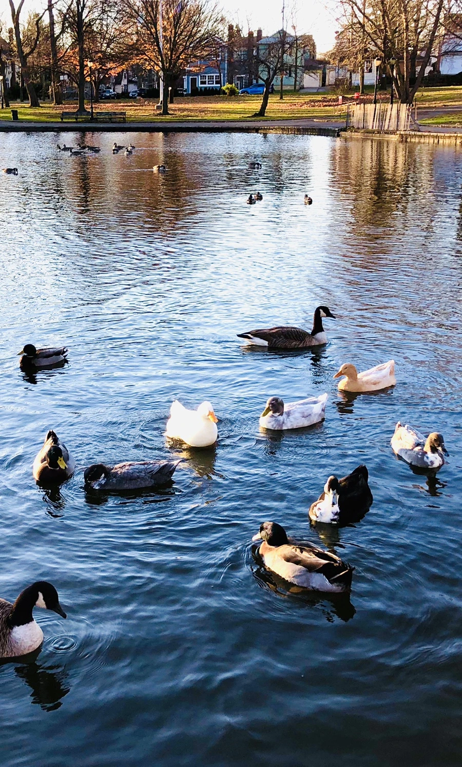 IMG_5956.jpg?type=w966