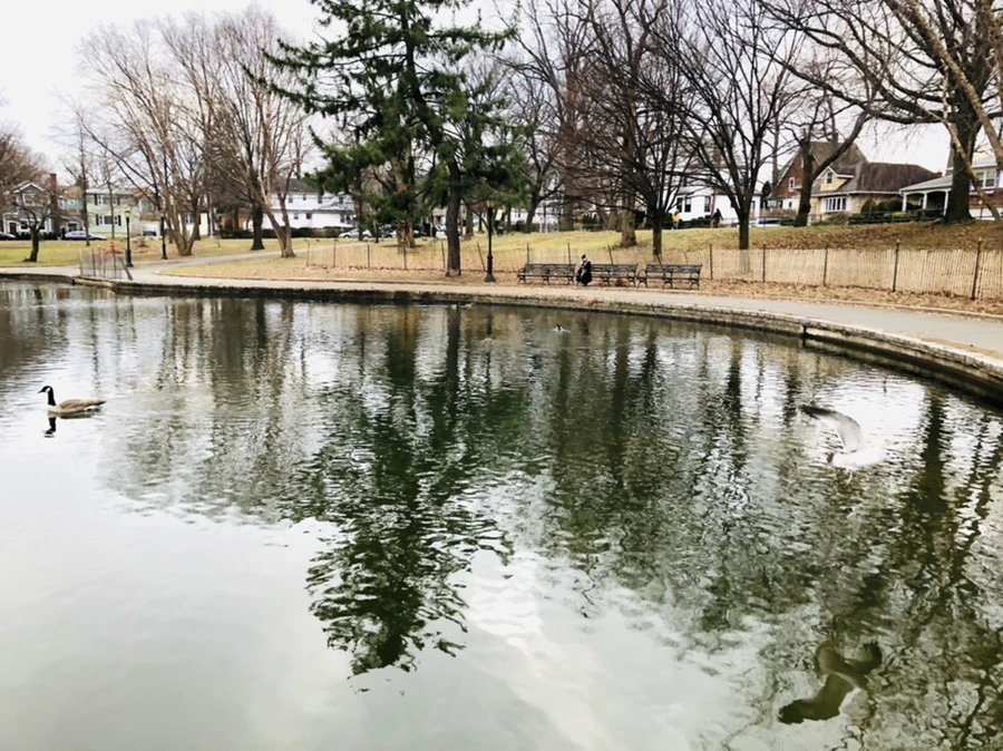 IMG_1035.jpg?type=w966