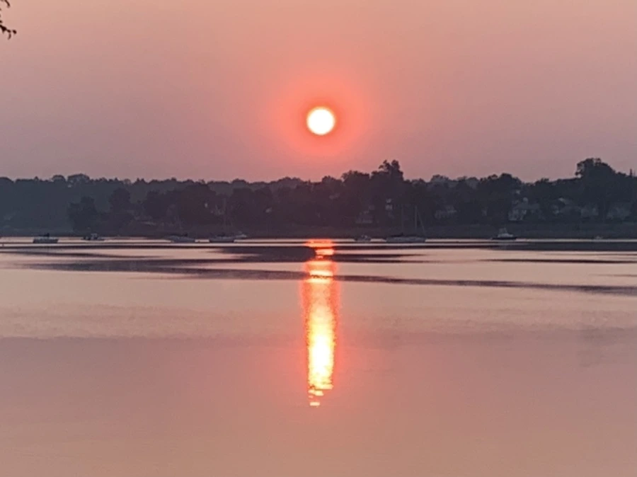 IMG_1973.jpg?type=w966