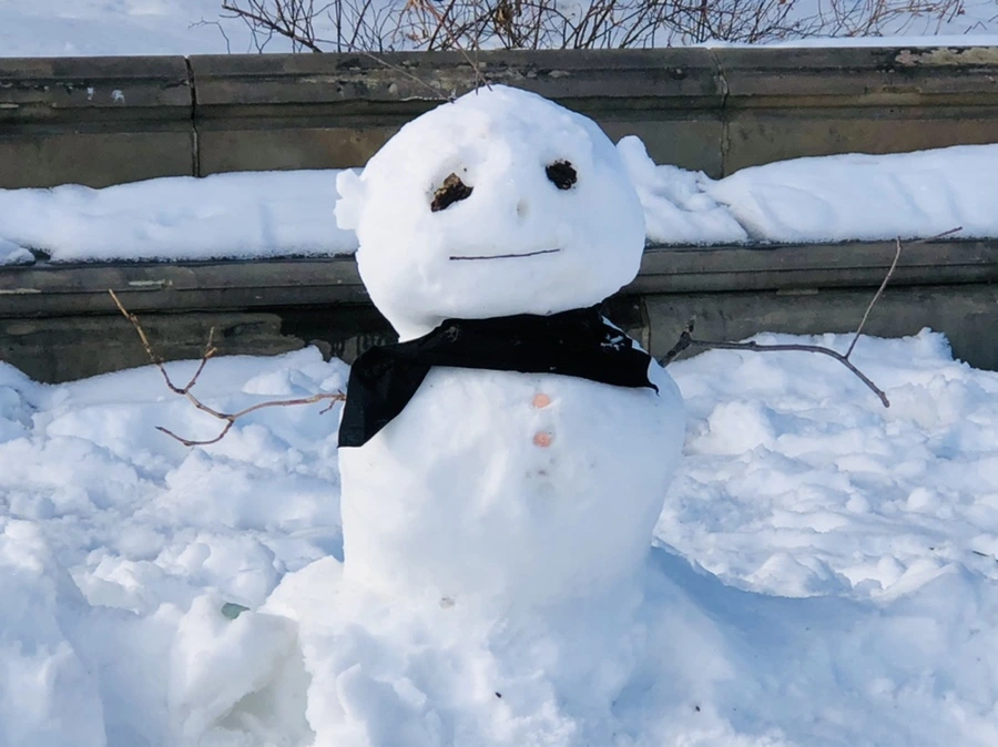 IMG_0651.jpg?type=w966