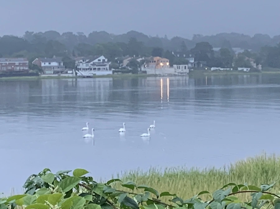 IMG_6656.jpg?type=w966