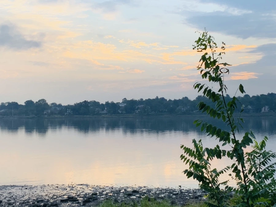 IMG_8216.jpg?type=w966