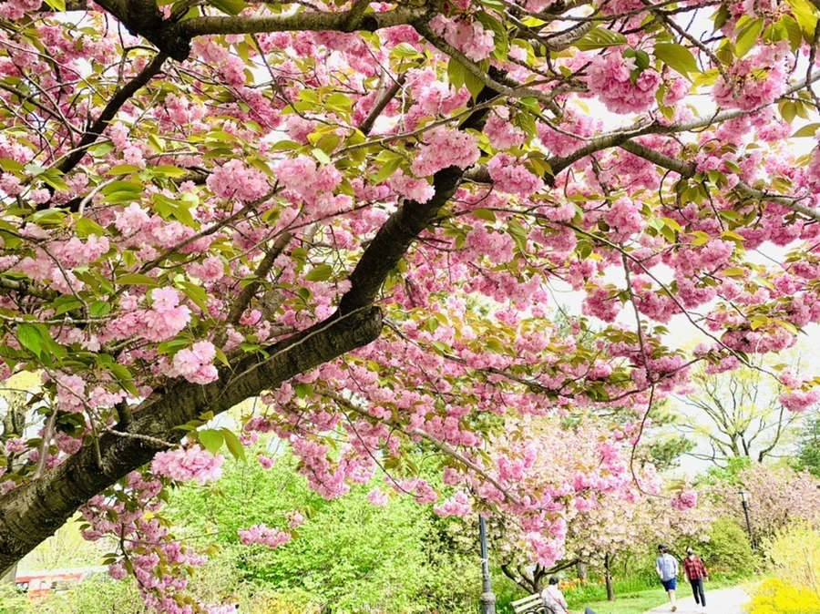 0VO6yPZA01r4k6Oj4AVOJQQ3fpI