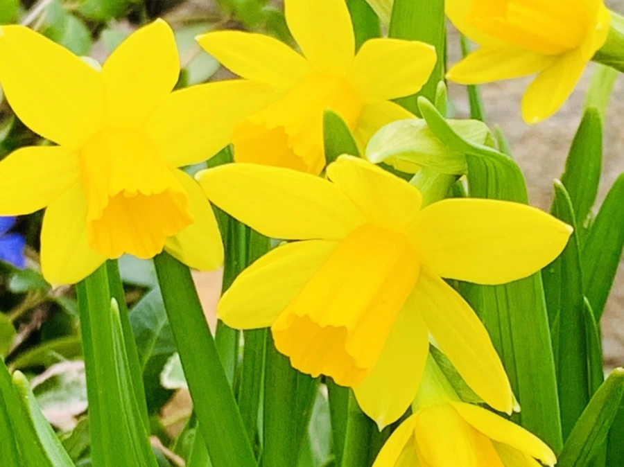 IMG_3470.jpg?type=w966