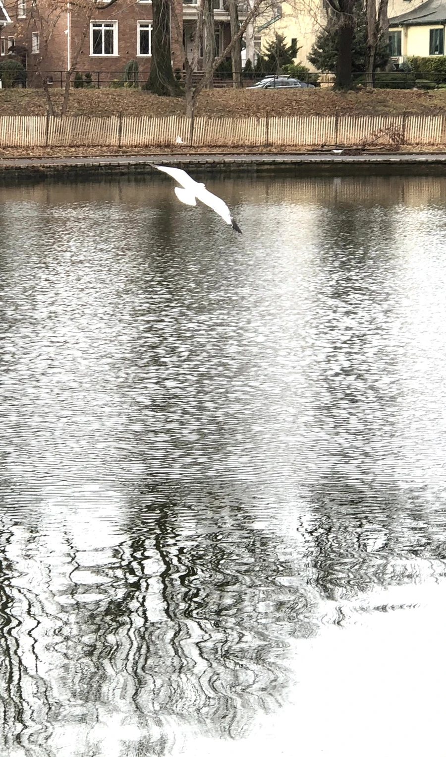 IMG_8621.jpg?type=w966