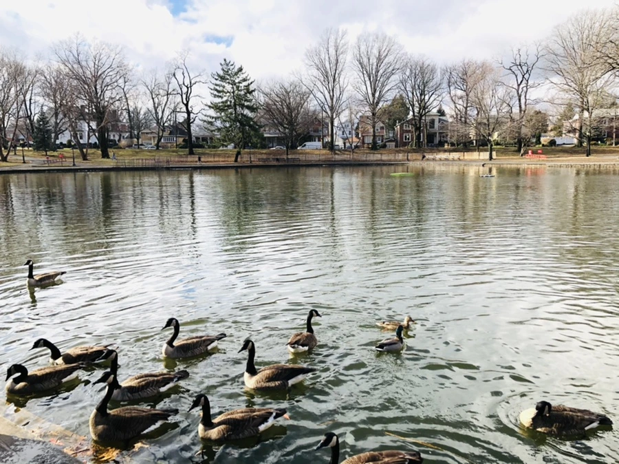 IMG_3614.jpg?type=w966