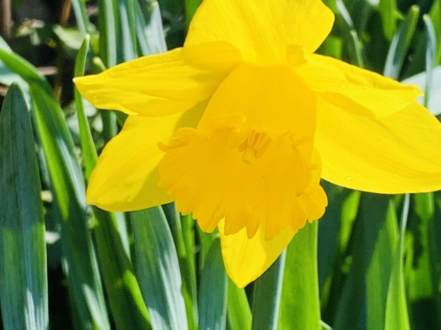 IMG_4330.jpg?type=w966