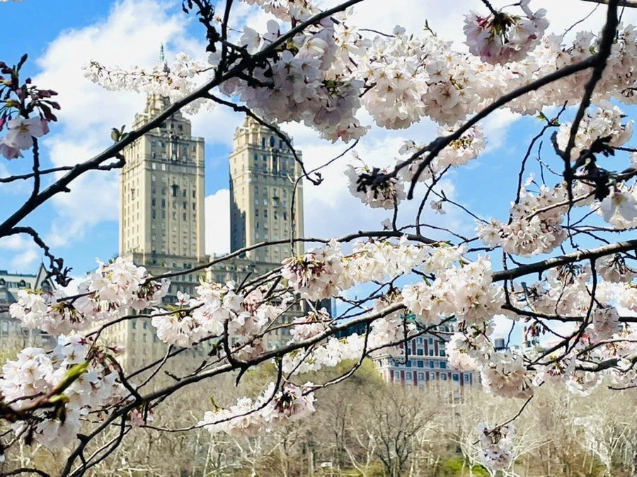 IMG_9331.jpg?type=w966