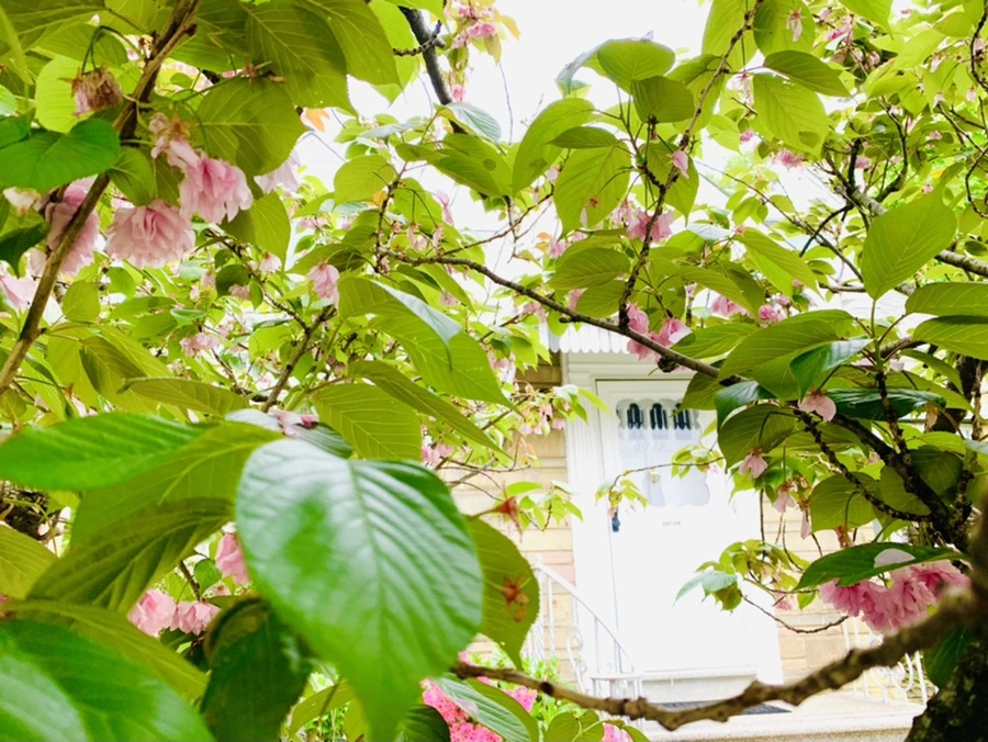 IMG_9535.jpg?type=w966