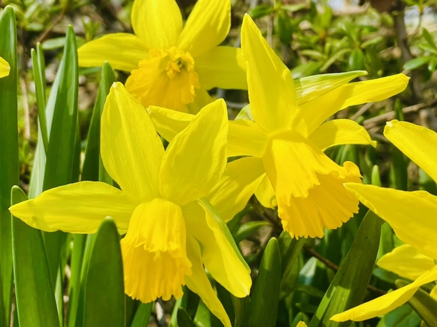 IMG_5576.jpg?type=w966