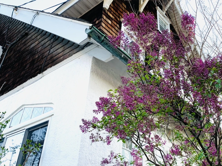 IMG_4949.jpg?type=w966