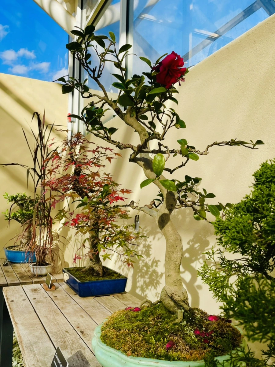 IMG_3155.jpg?type=w966