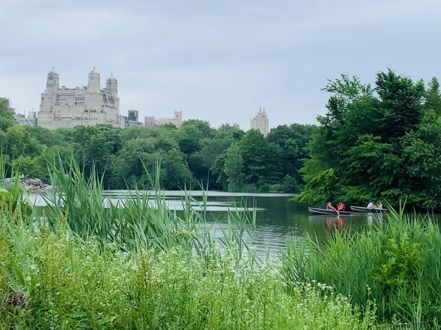 IMG_3373.jpg?type=w966