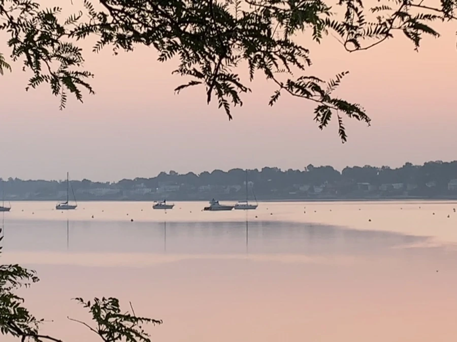 IMG_1976.jpg?type=w966