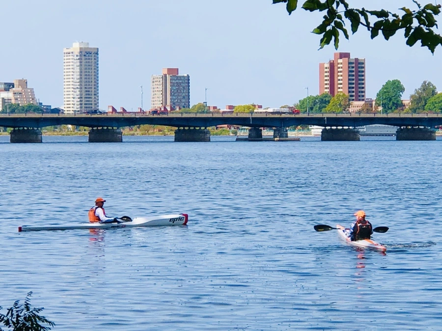 IMG_0945.jpg?type=w966