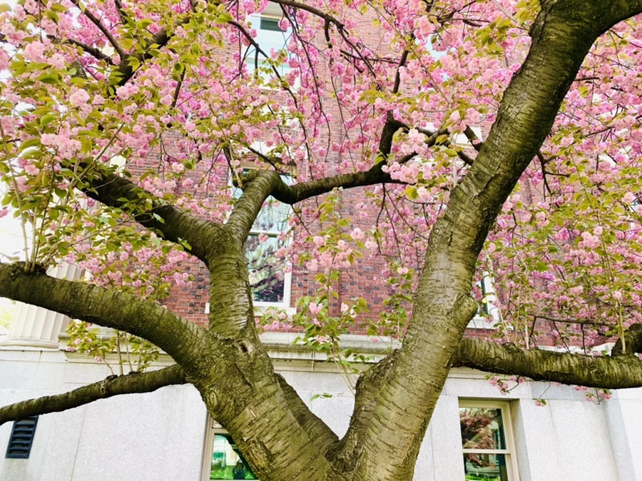 IMG_5107.jpg?type=w966