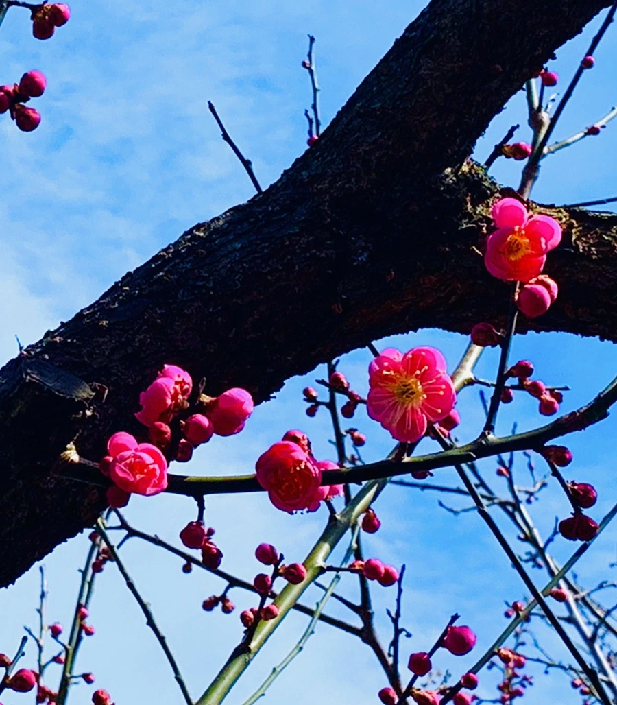 IMG_0564.jpg?type=w966